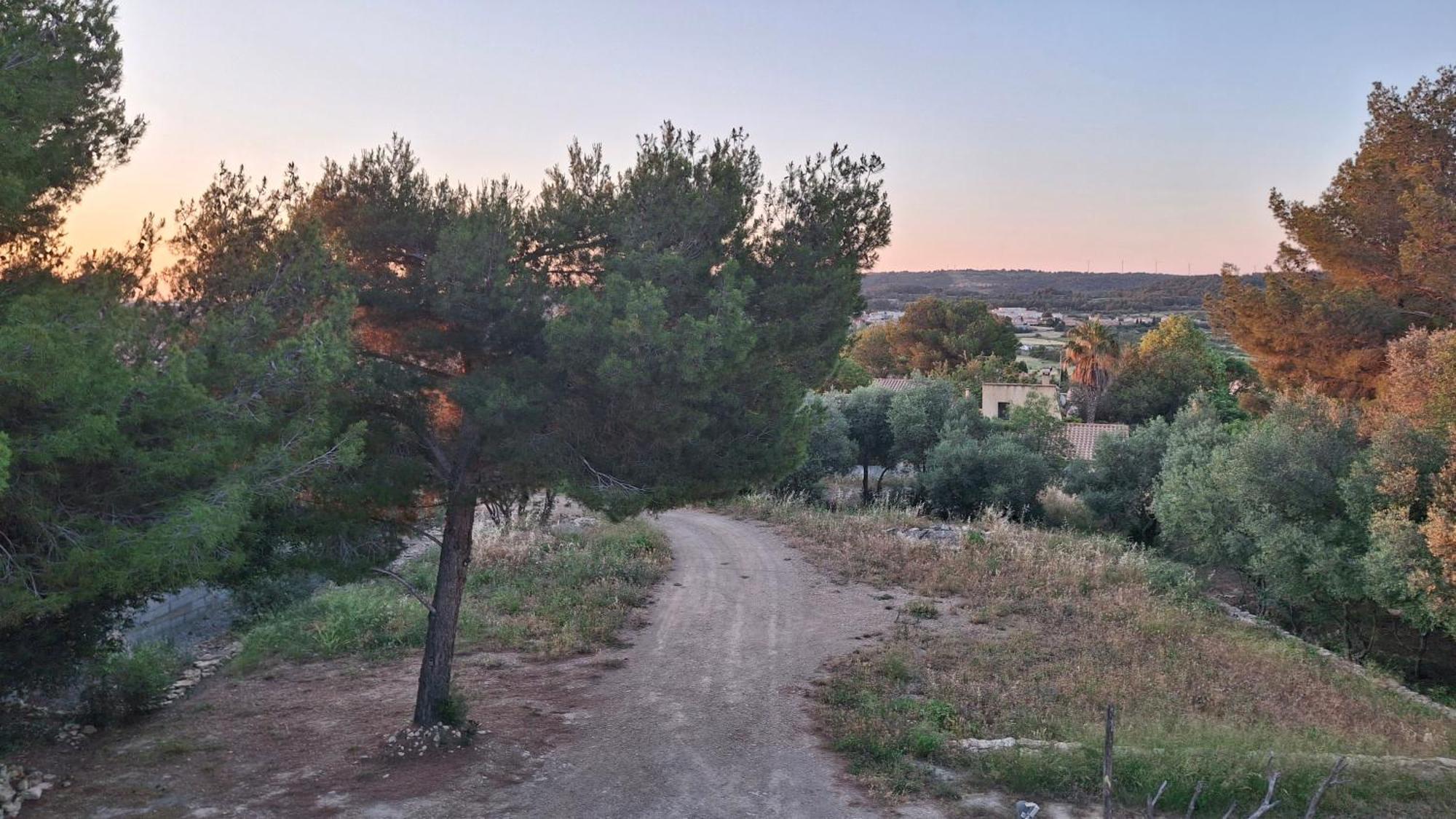 Le Studio Des 3 Moulins Sigean Dış mekan fotoğraf