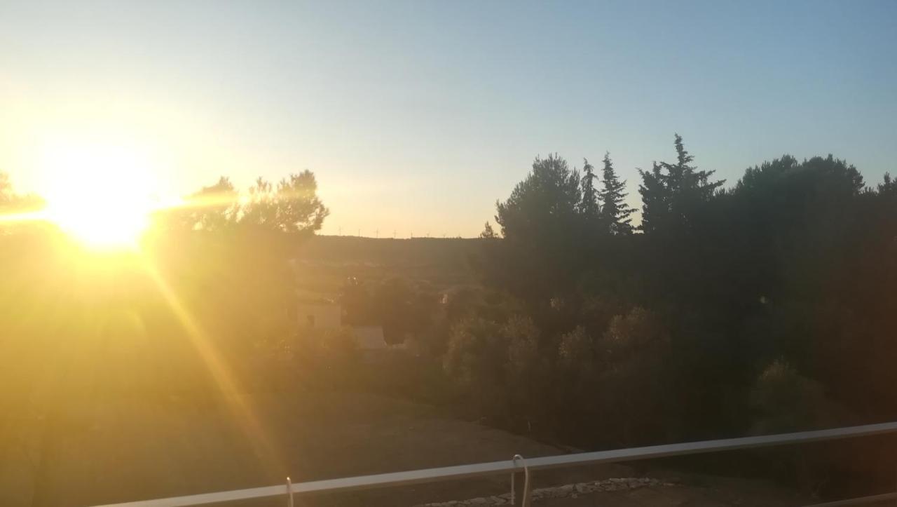 Le Studio Des 3 Moulins Sigean Dış mekan fotoğraf